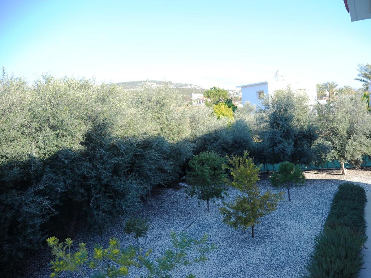 Villa Luxury 6 Bedroom With Privet Pool In