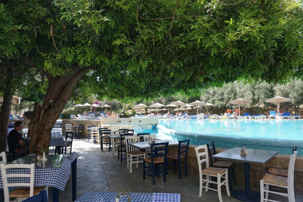 Alex's Vacation - 100m From The - 6 Guests Paphos