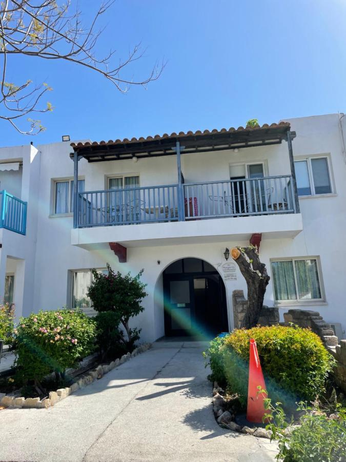 Dream Studio270m From The Paphos