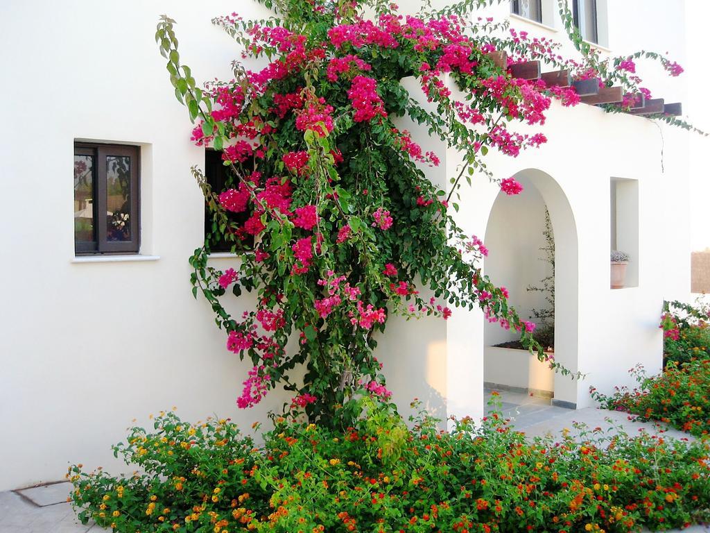 Aura Holiday Villas * Paphos