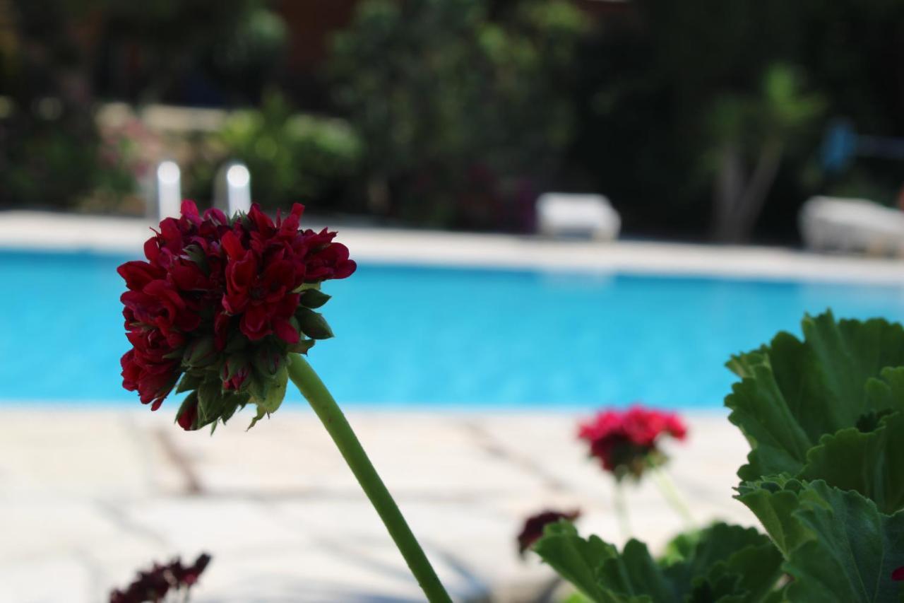 Apartment Paradise Gardens Holiday