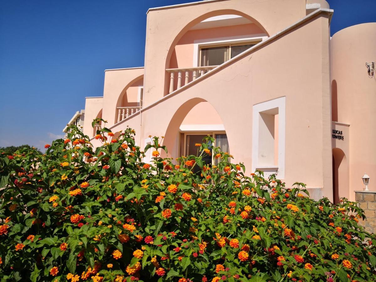 Seashell Apartment