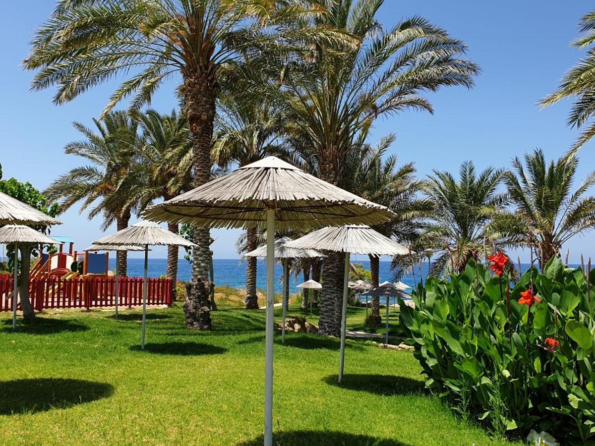 Seaview Sunset Holiday Paphos