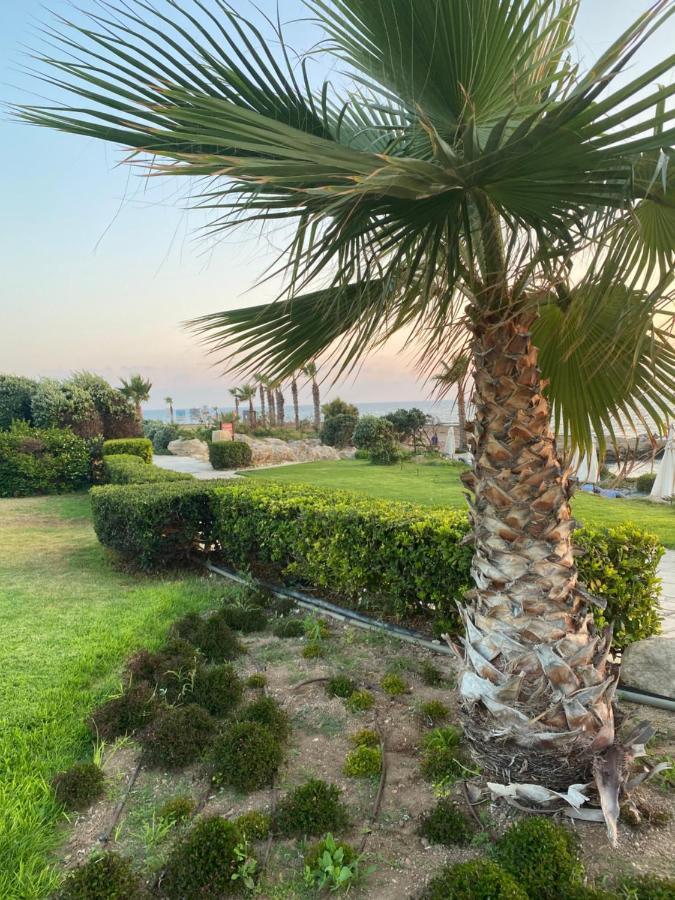 Royal Seacrest F G5 Ground Floor Apartment *