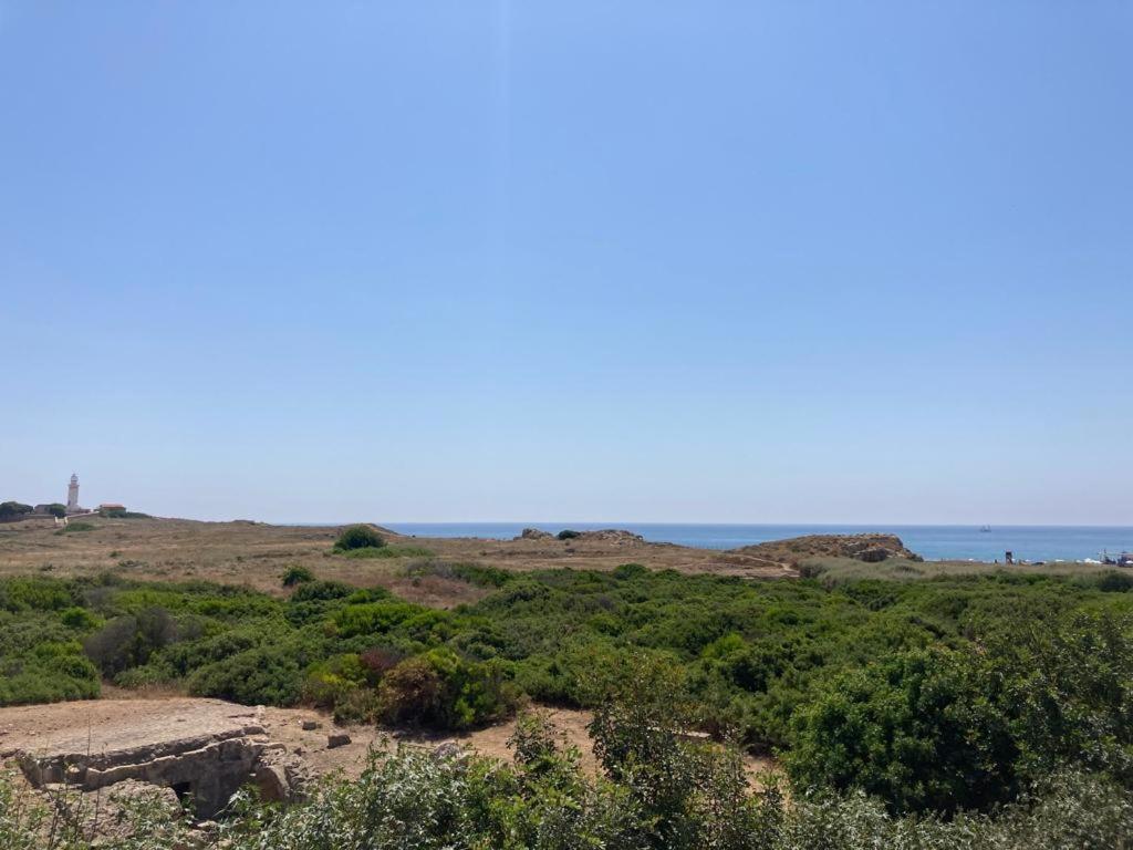 Apartamento Ariadne Apartments Paphos