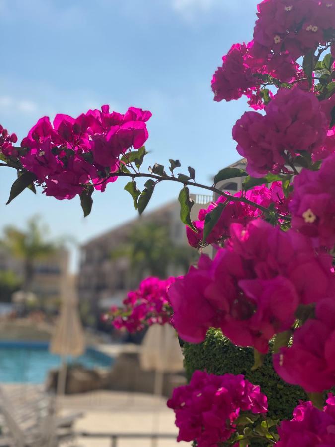 Royal Seacrest F G5 Ground Floor Paphos