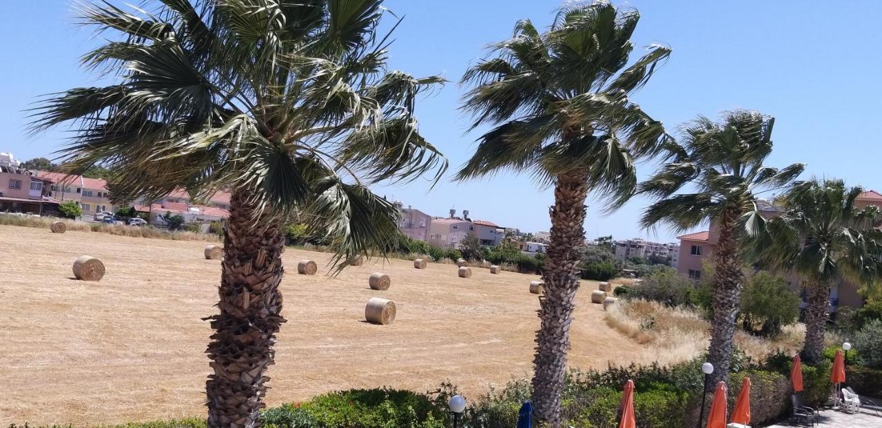 My Sweet Homestay Paphos