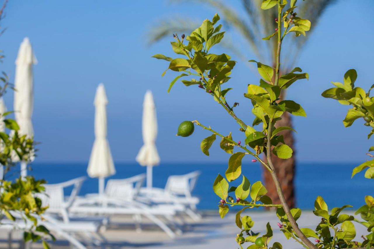 King Evelthon Beach & Resort 5*