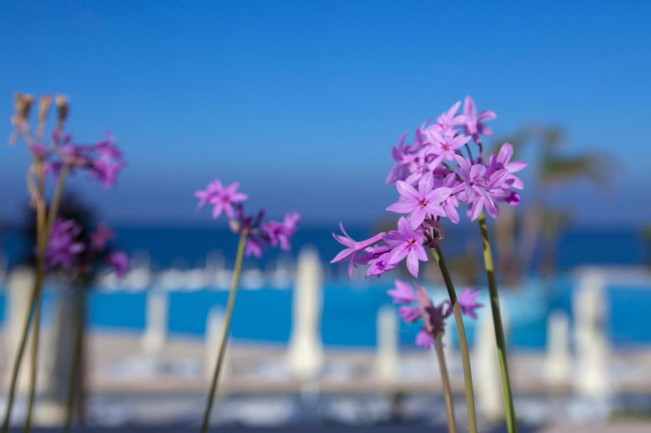King Evelthon Beach & Resort