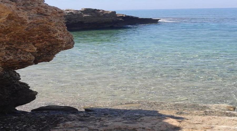 King Evelthon Beach & Klorakas