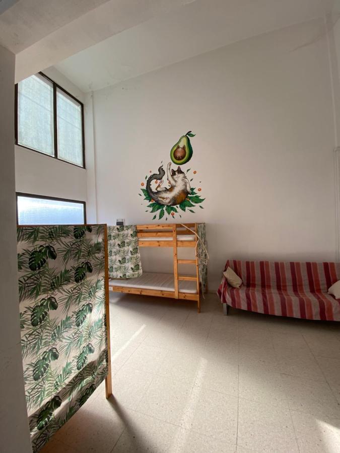 Past Or Tail Hostel