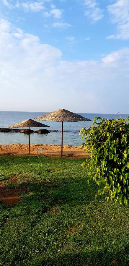 Penny's Kato Paphos