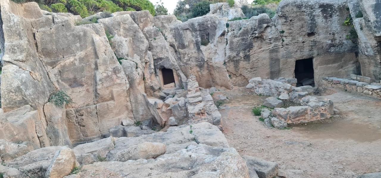 Bee Paphos