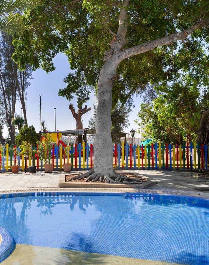 Dream Studio270m From The Apartment Paphos