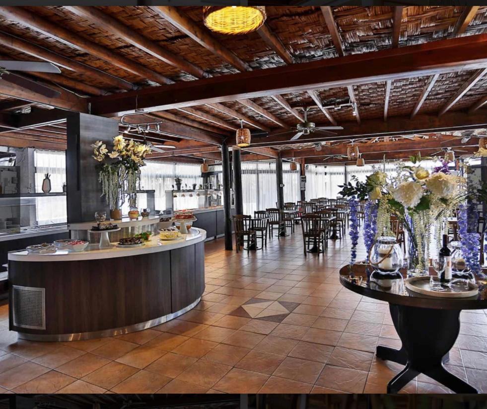 Apartment Dream Studio270m From The