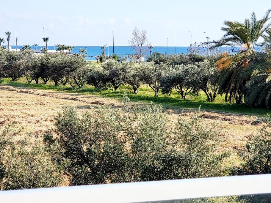 Utopia Paphos