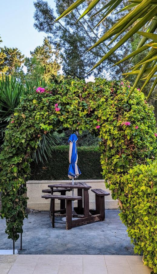Stylish Garden At Harbour *
