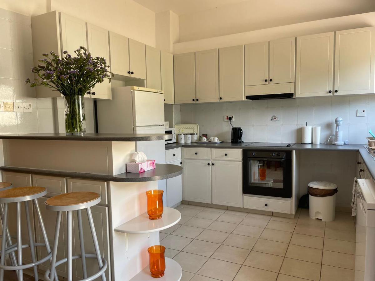 Nysa8 * Paphos