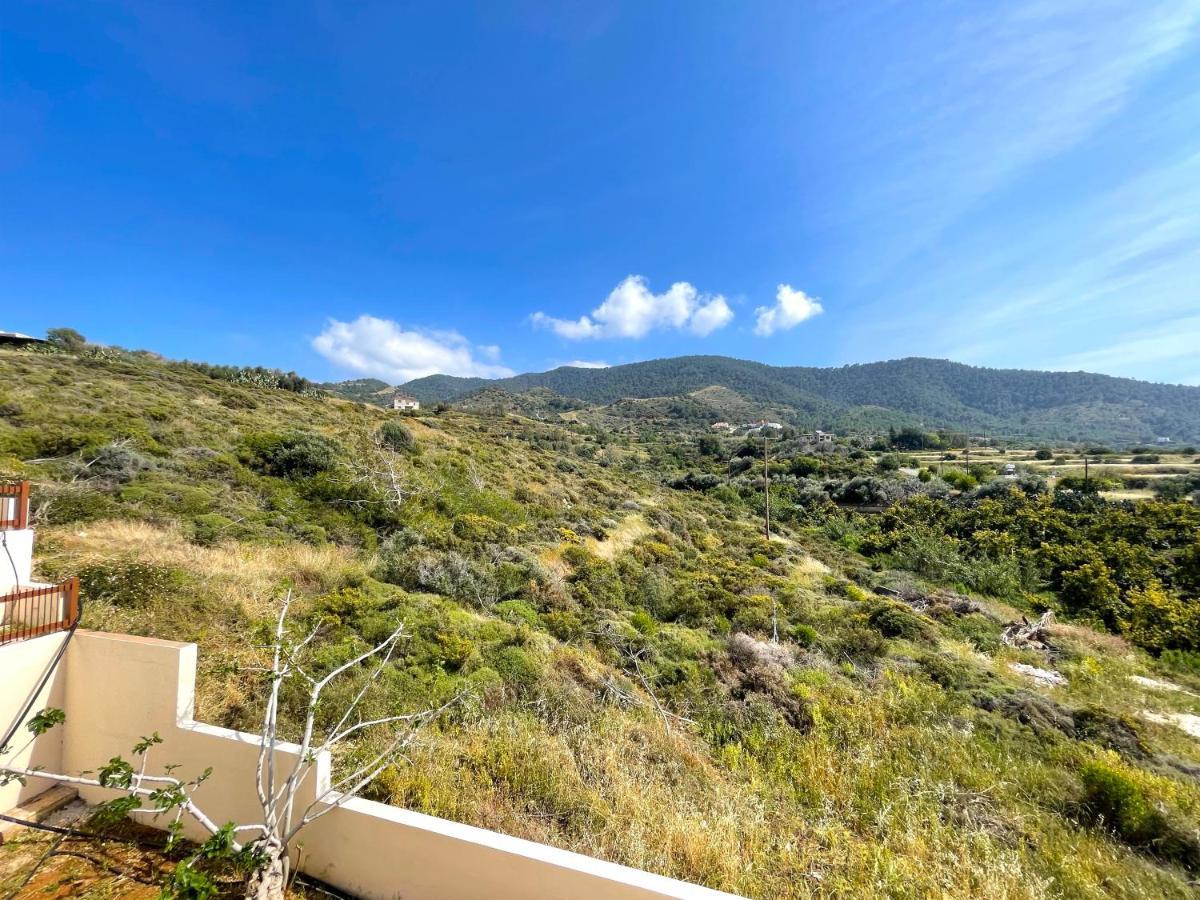 Villa Nysa8 Paphos