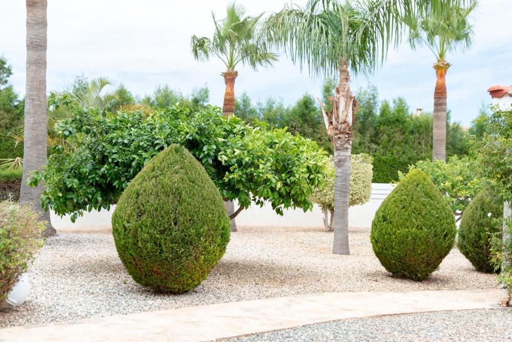 Amazing With Panoramic Sea View Paphos