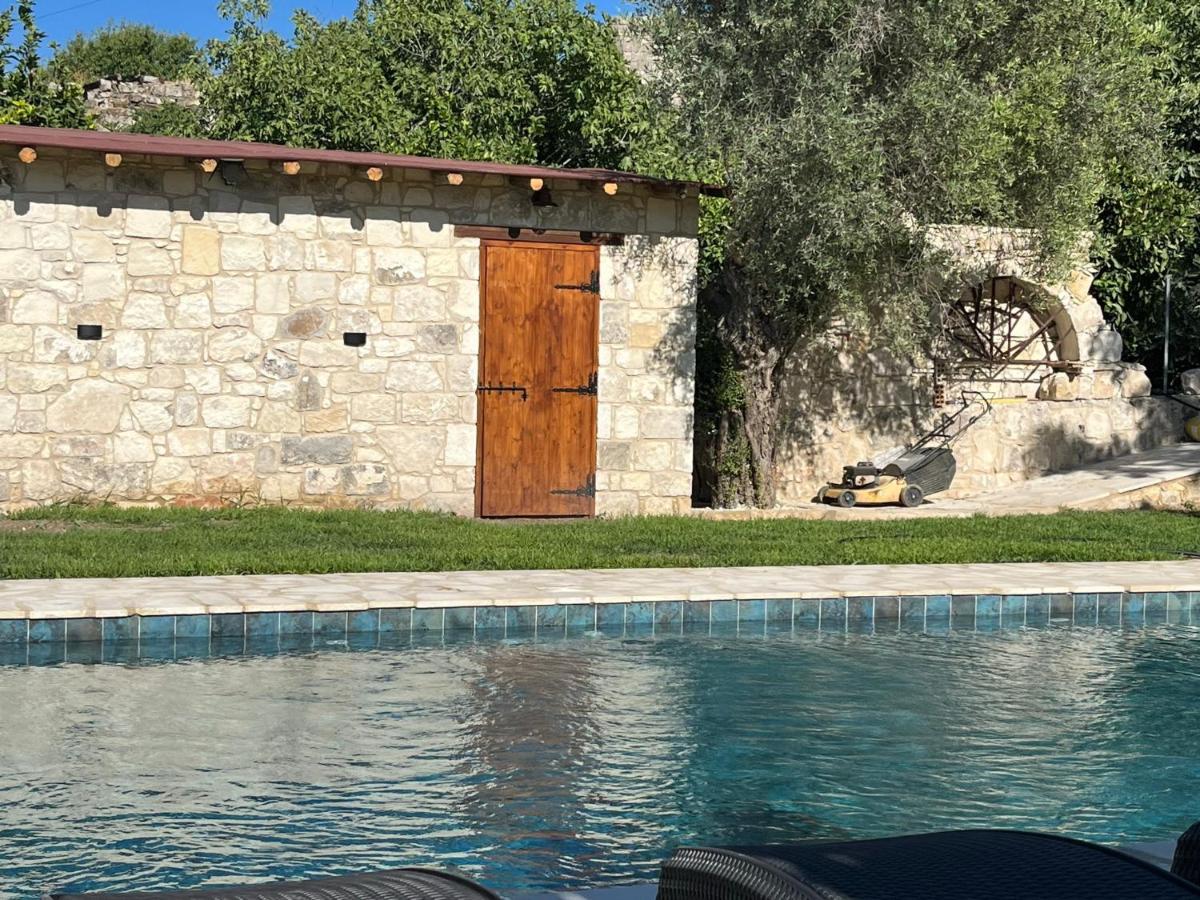 Romanos Paphos