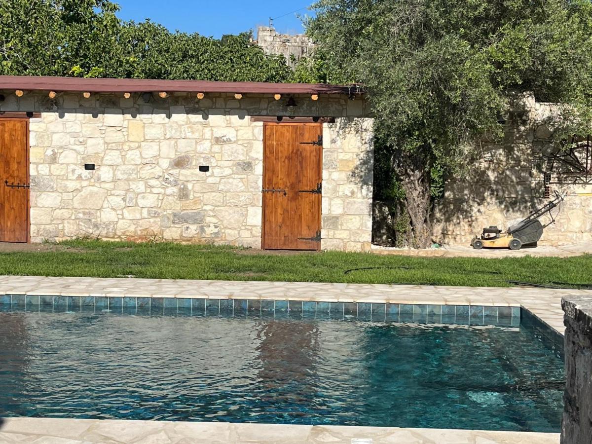 Romanos Paphos
