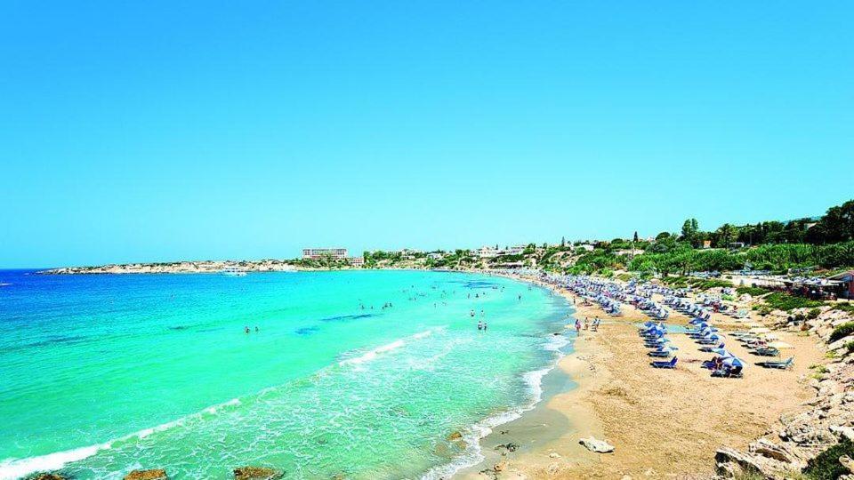 Seashell * Paphos