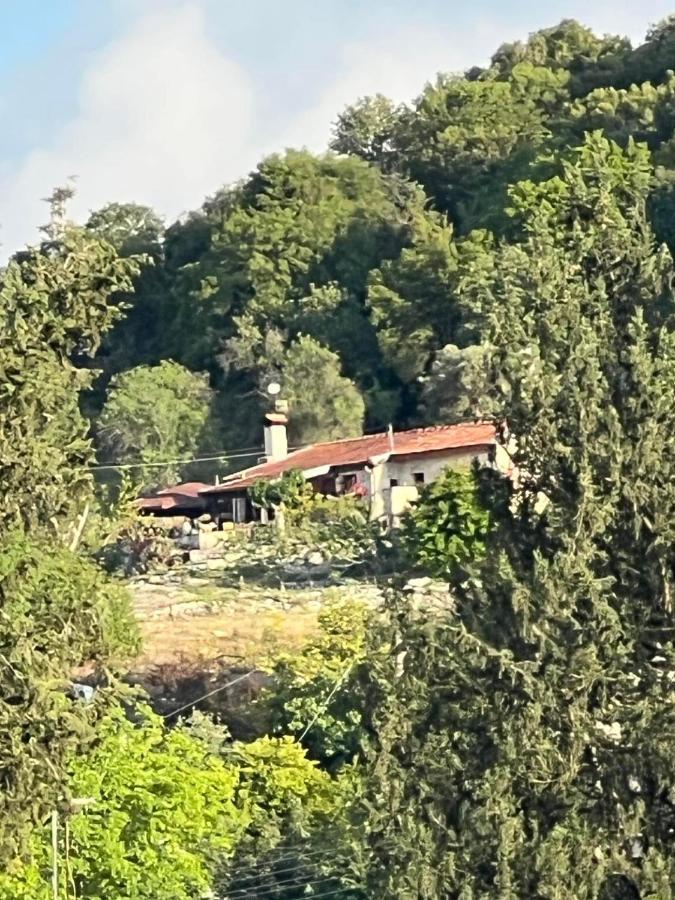 Despina Country Retreat * Paphos