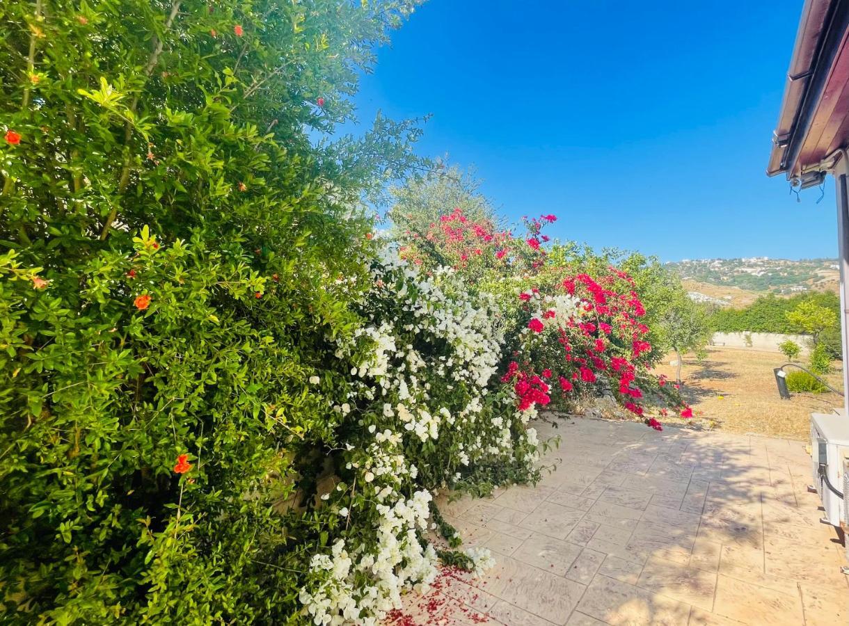 Beautiful Homestay Paphos