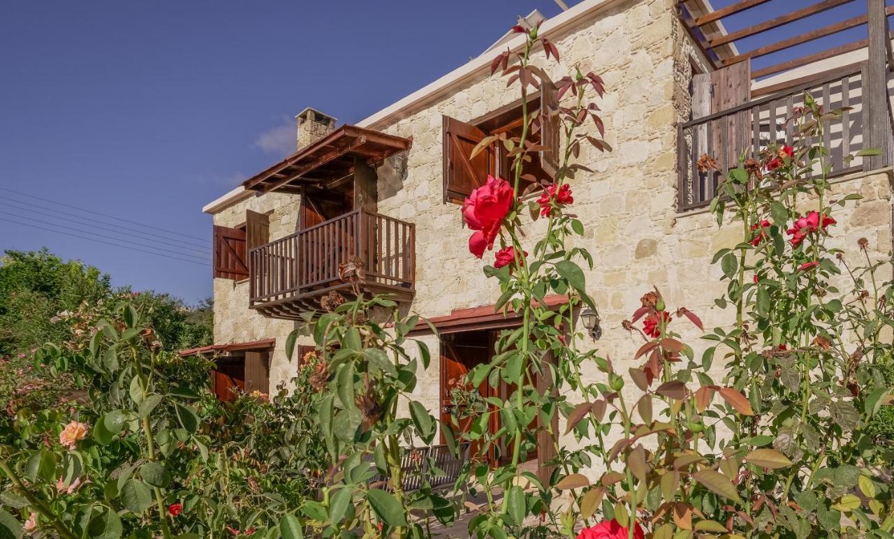 Phaedrus Living: Amarakos Paphos