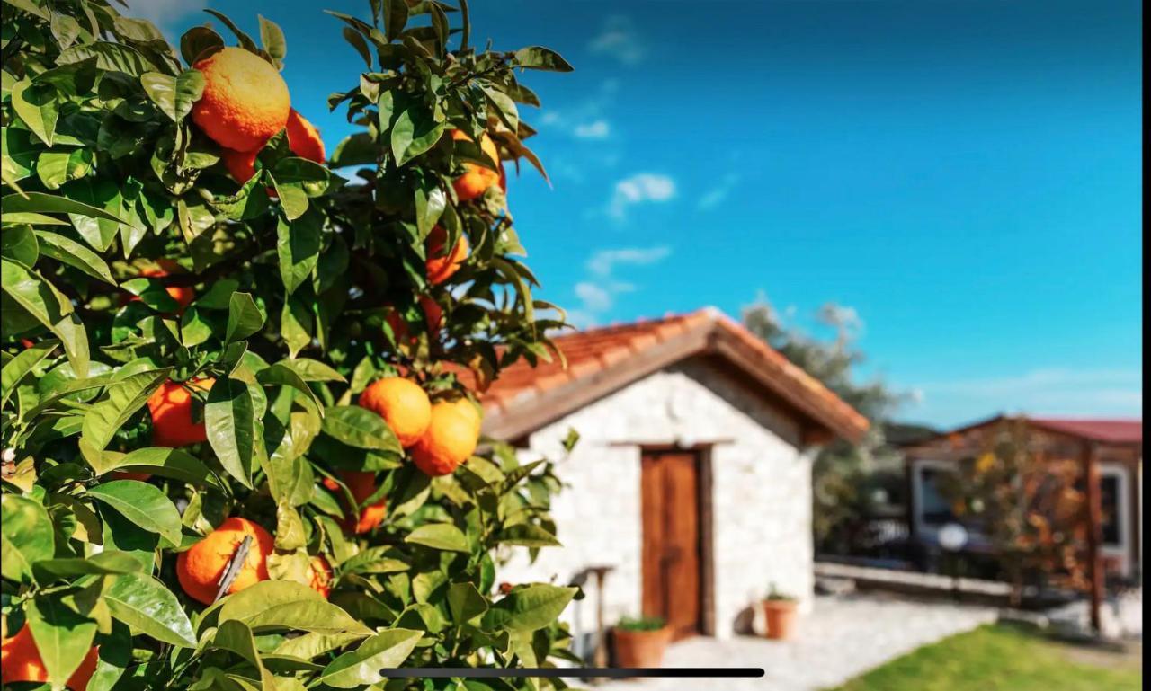 New Cozy Near The Beaches In The Magnificent Gardens Of Regina With Swimming Pools! Villa