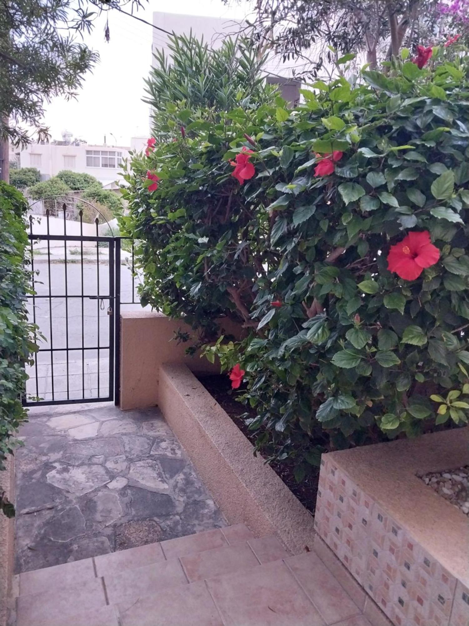 Kings With Private Garden Apartment *