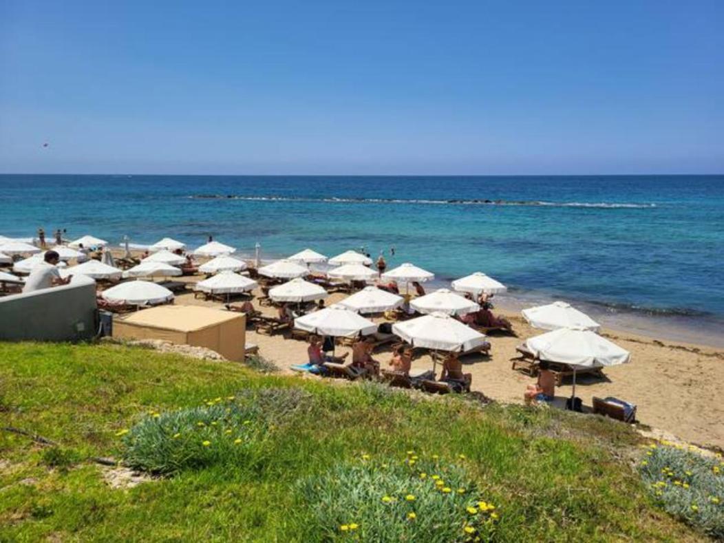 2-bedroom With Pool Apartment Paphos