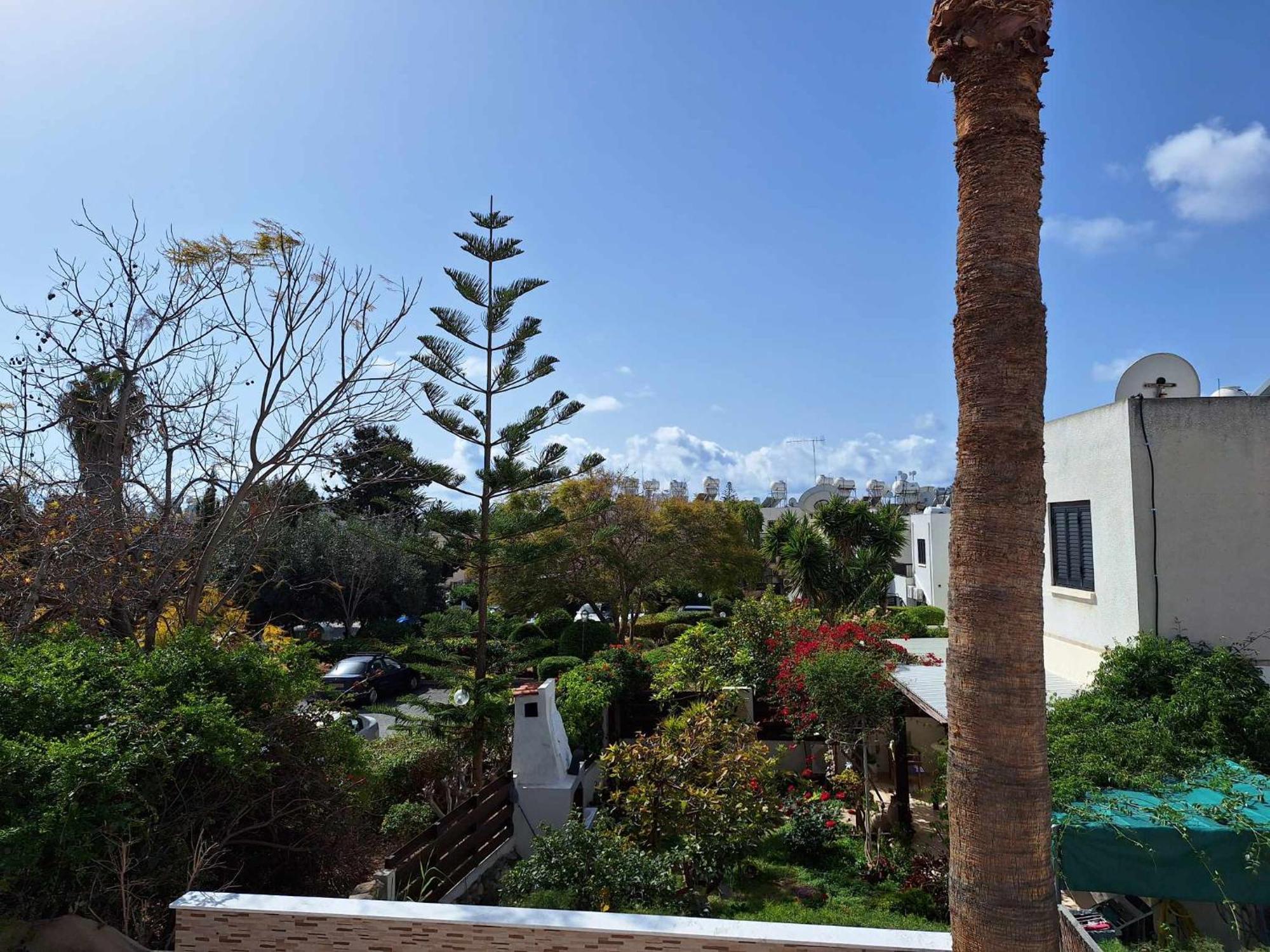 Stylish Kato Close To & Vibrant Harbor Life