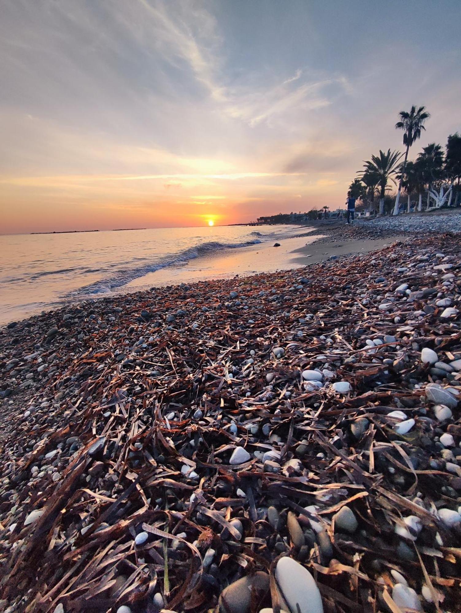 Marina Gardens * Paphos