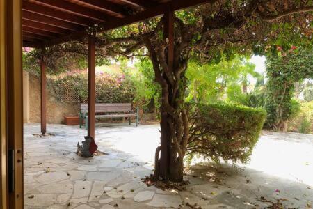 Apartment Regina Gardens - Spacious, 3 Bed, Ground Floor Unit With Large Patio