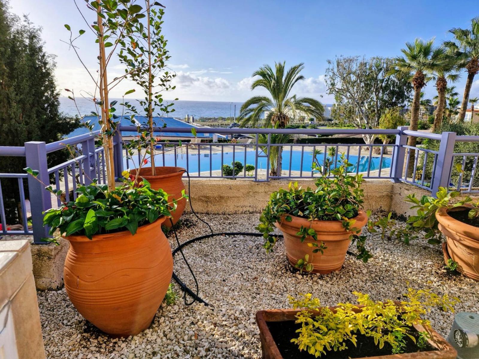 Givon Palace Apartment