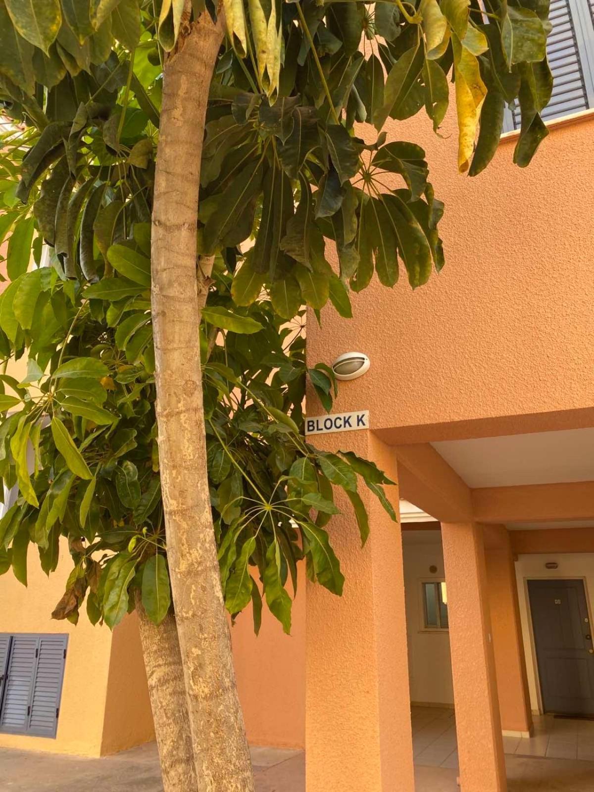 Limnaria Gardens K203 In Paphos