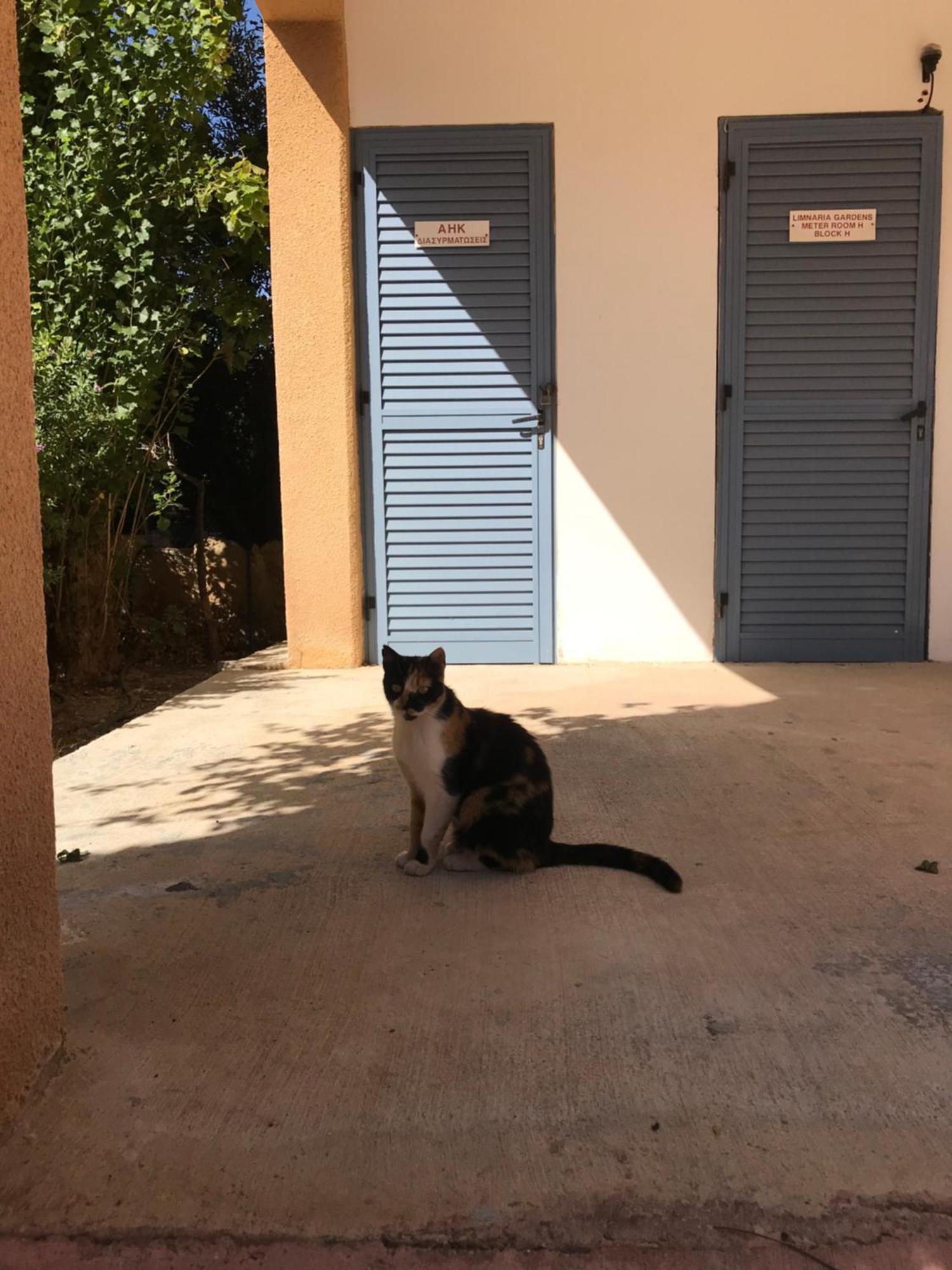 Limnaria Gardens K203 In Apartment Paphos