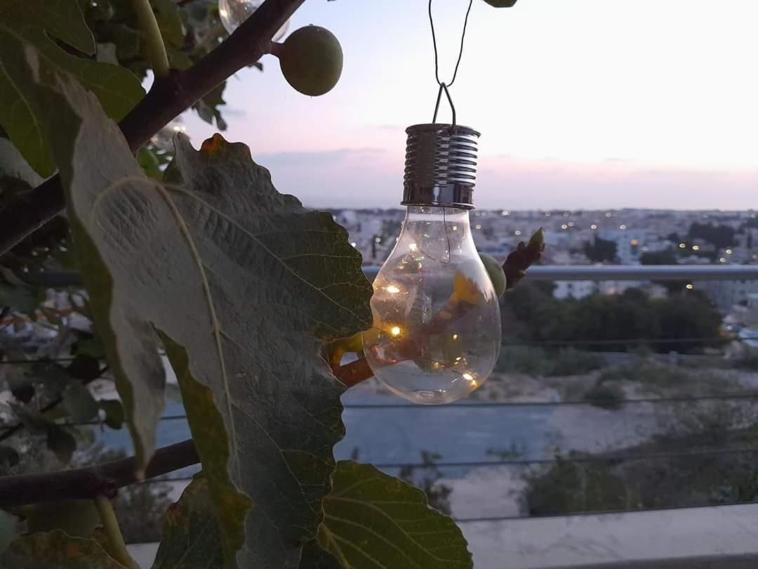 Apartment The Paphos