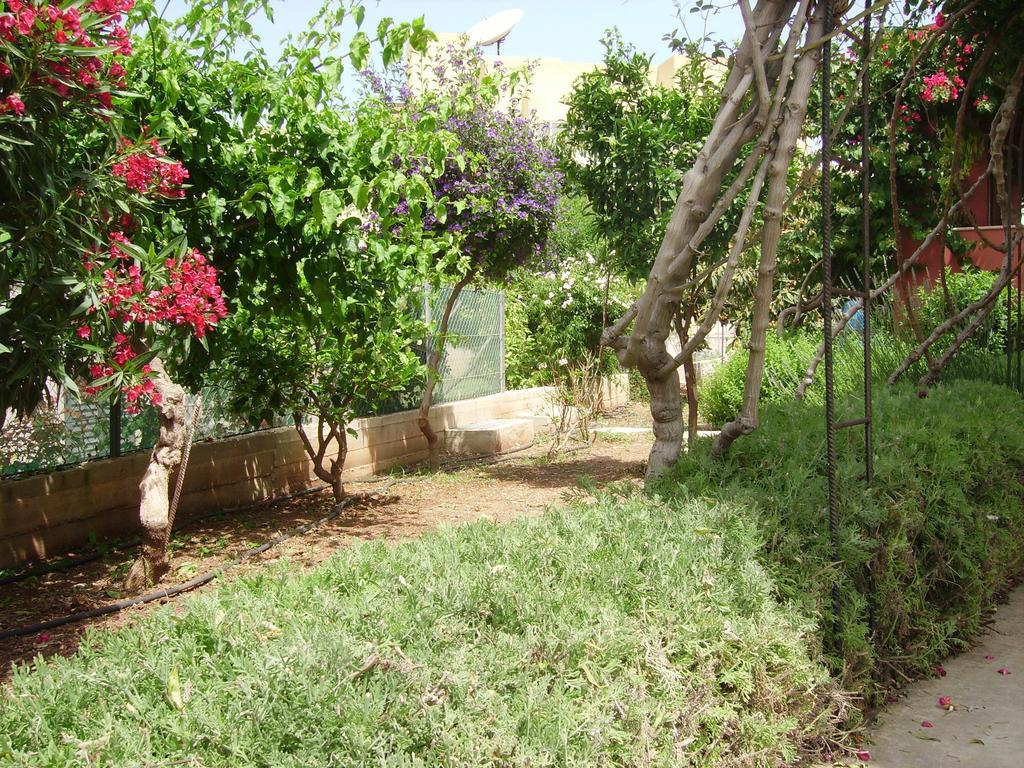 Kissonerga Apartment *