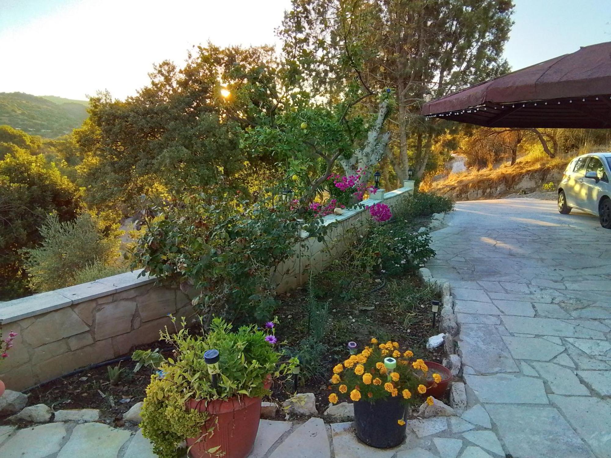 Despina Country Retreat * Paphos