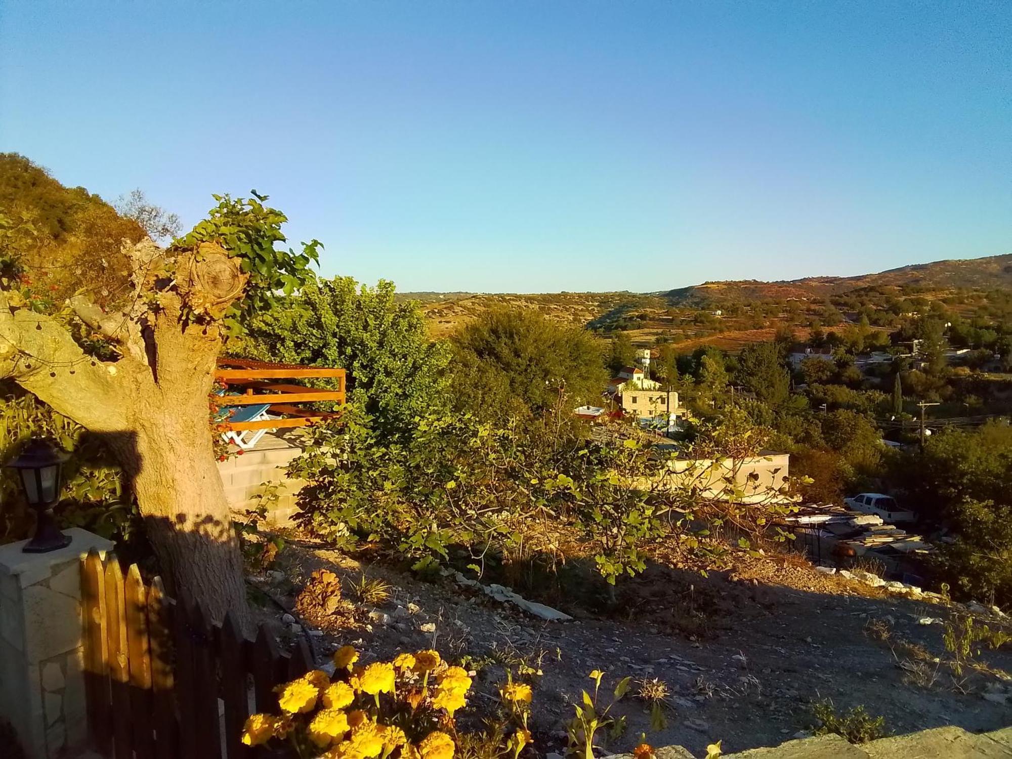 Despina Country Retreat * Paphos