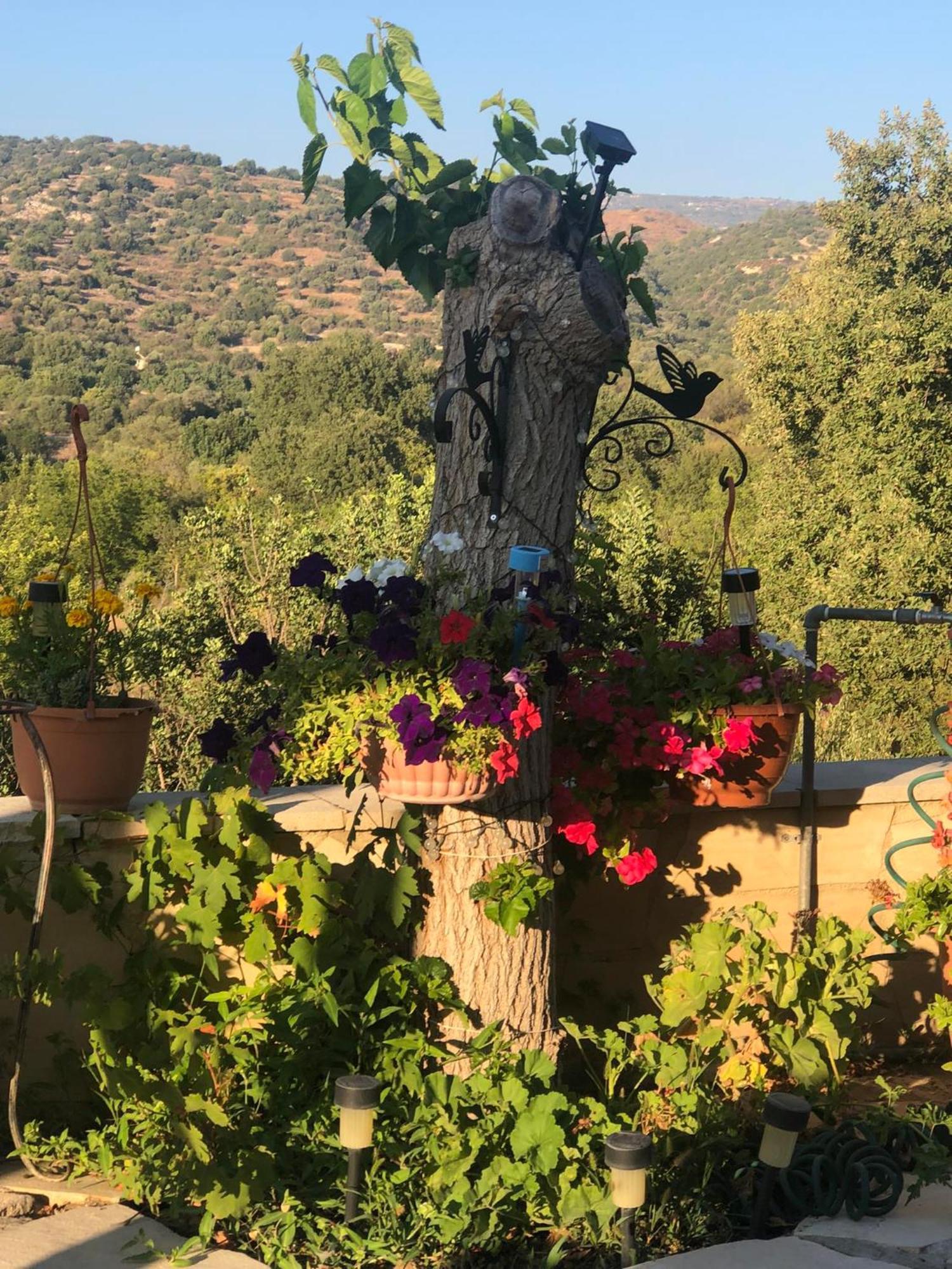 Despina Country Retreat Paphos