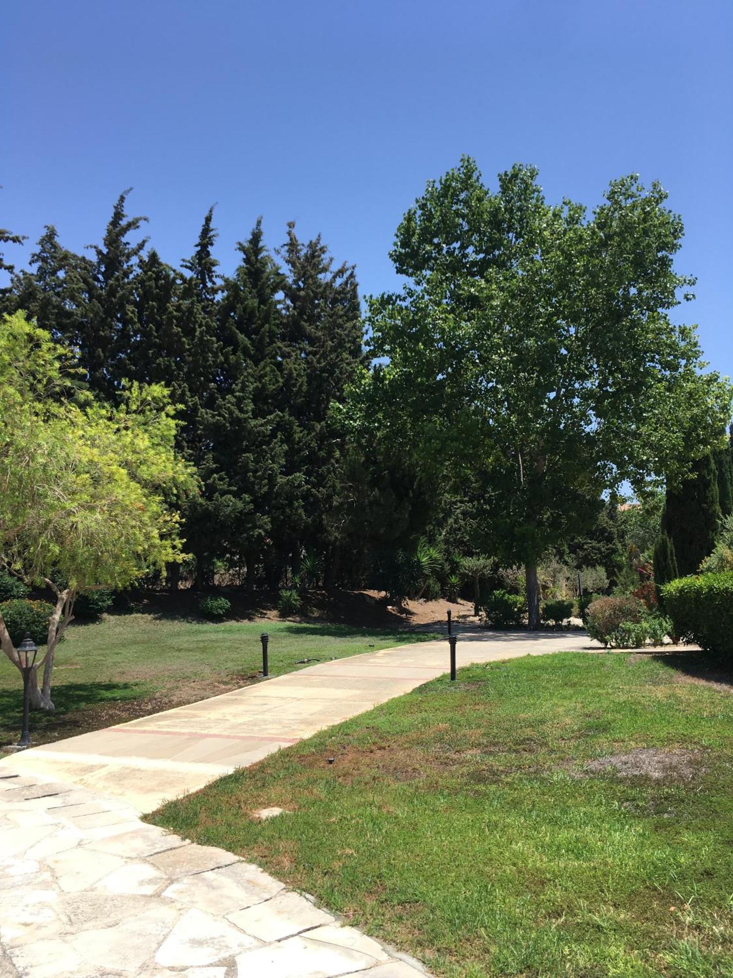 Limnaria Kato - Wonderful Near The And Facilities *