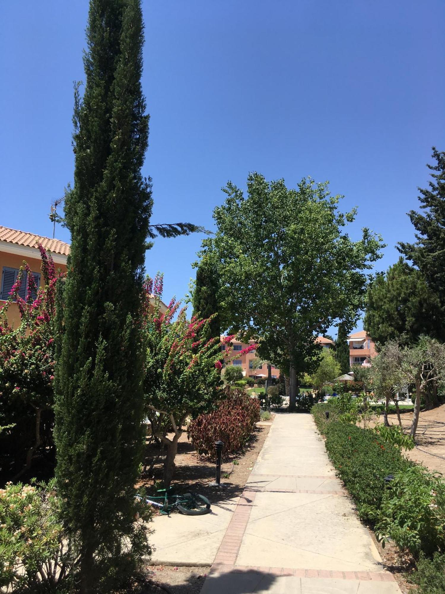 Limnaria Kato - Wonderful Near The And Facilities Paphos