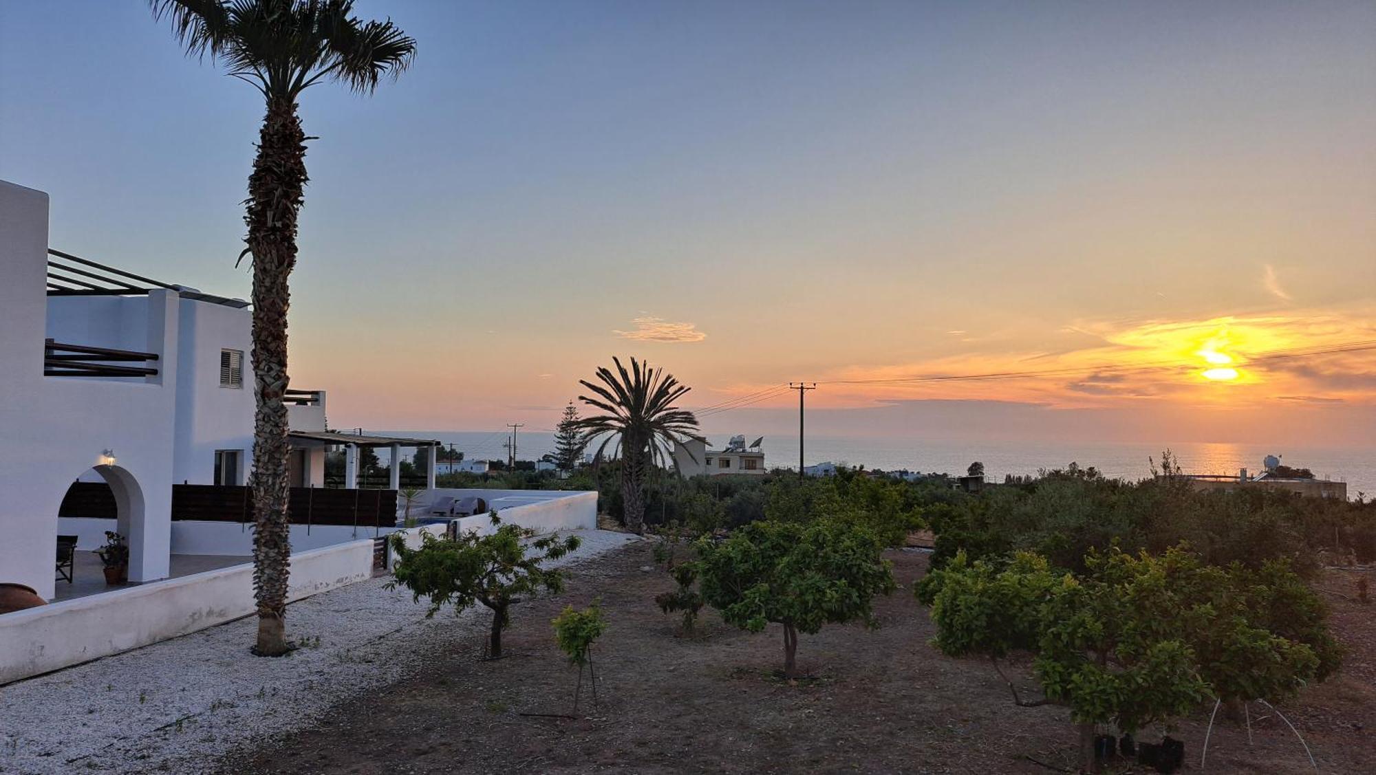 Nireas * Paphos