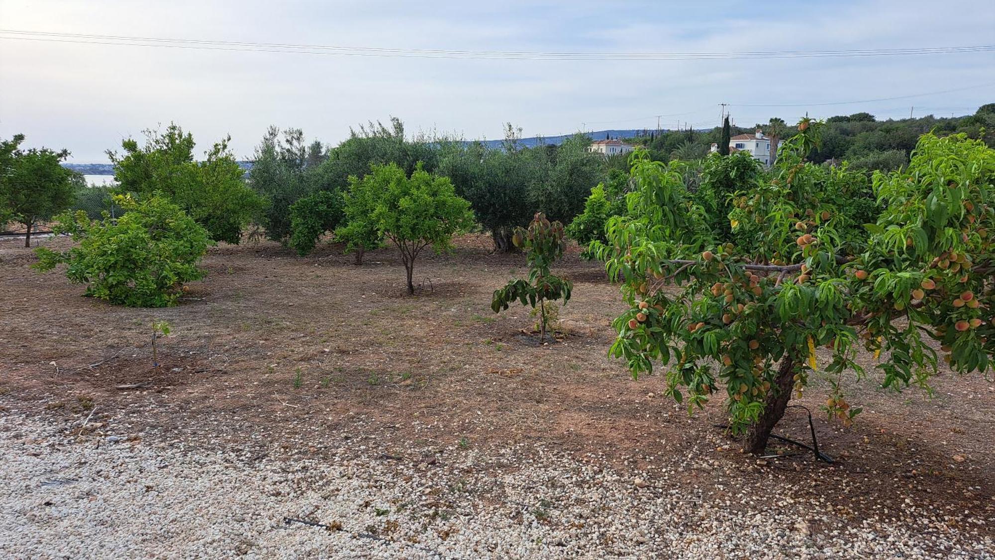 Nireas Villa Paphos
