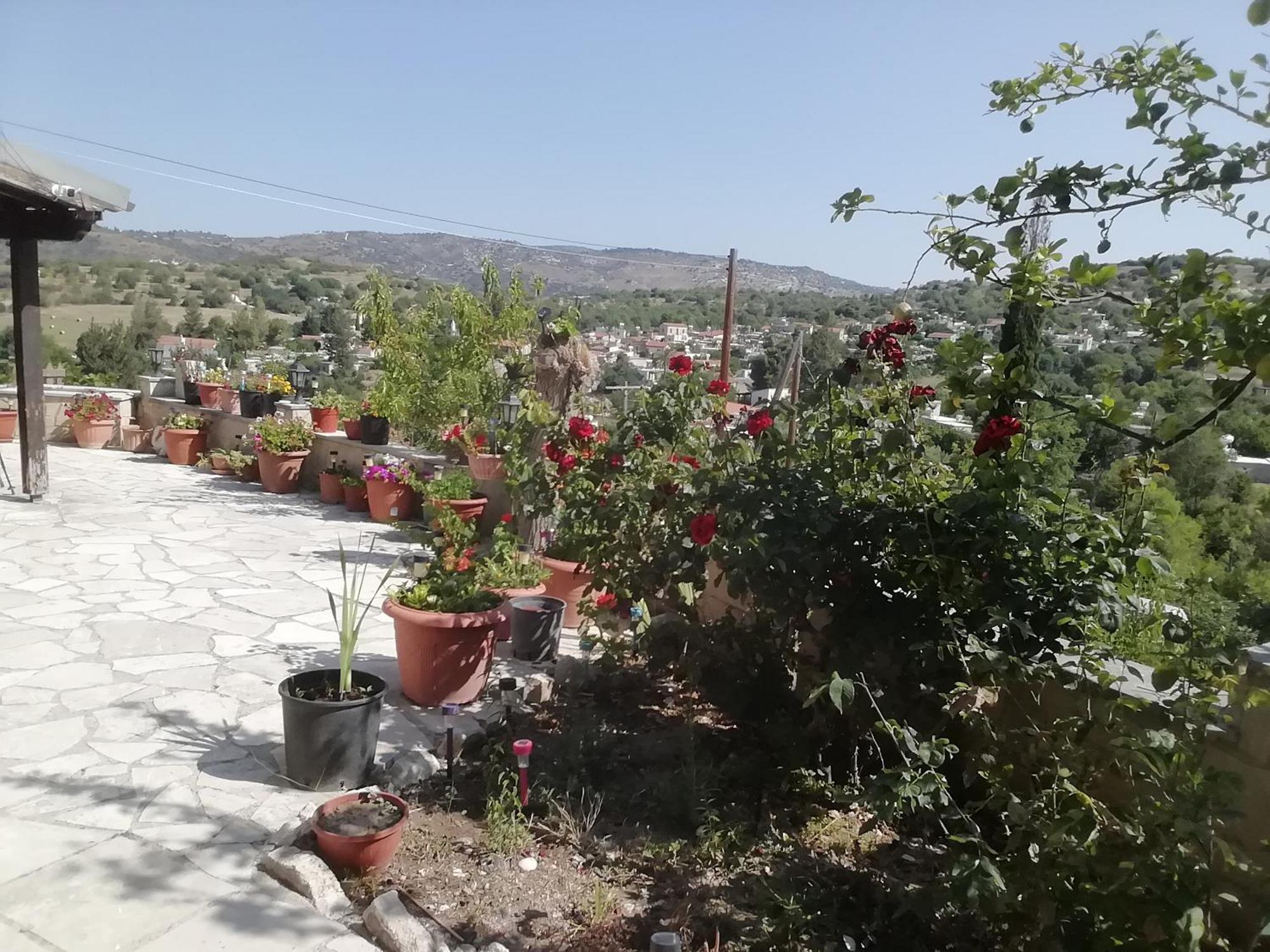 Despina Country Retreat Paphos