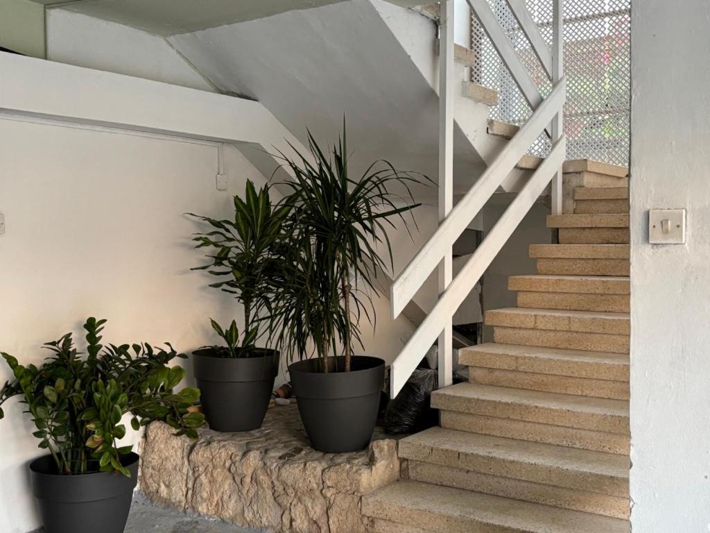 Apartment Venus Seaview 2b, Rooftop, Prime Location,